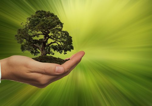 iso-14001-okoljski-standard-vodenje-okolja-pixabay